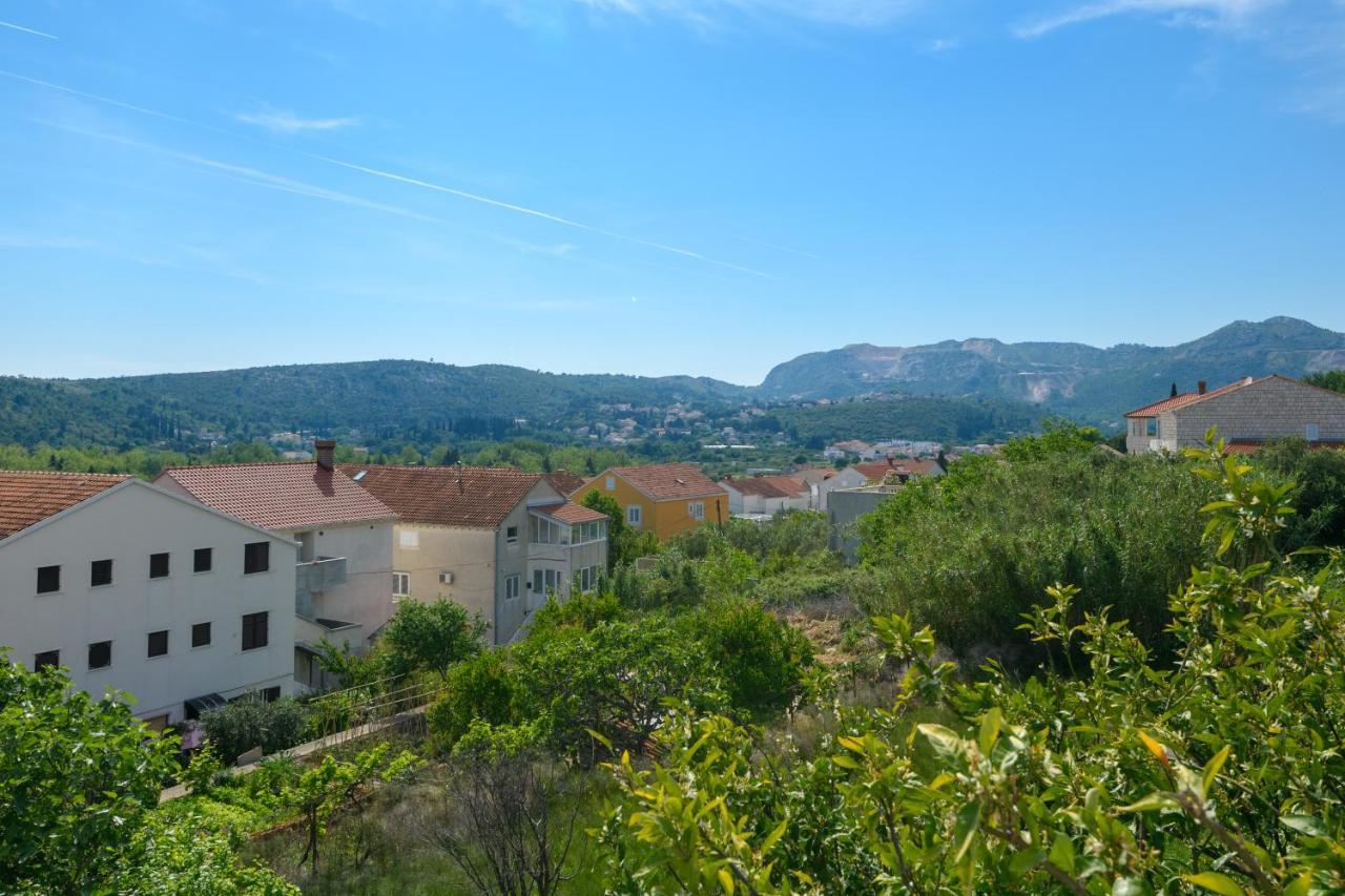 Holiday Residence Zvono 米利尼 外观 照片